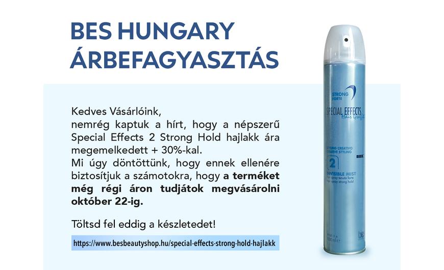 BES HUNGARY ÁRBEFAGYASZTÁS